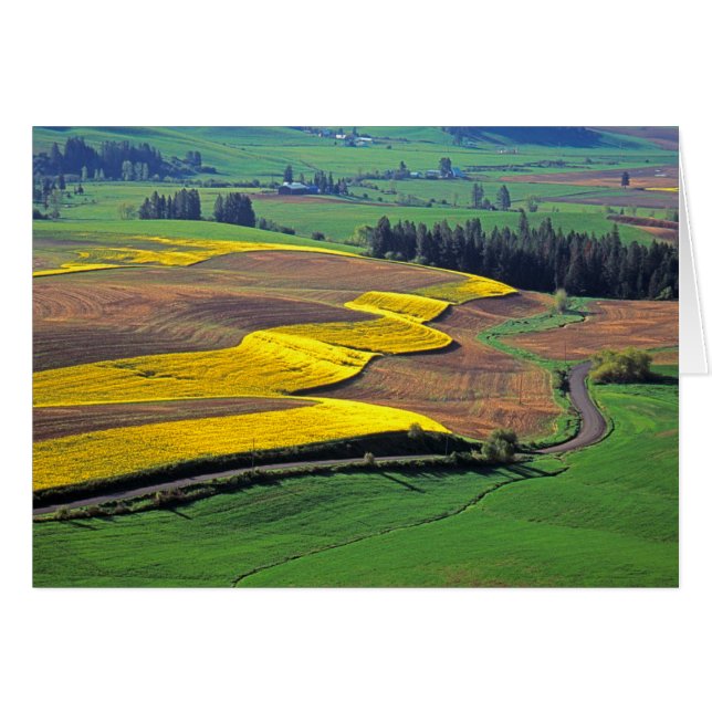 VS, Washington, Palouse, Whitman County 2 (Voorkant Horizontaal)