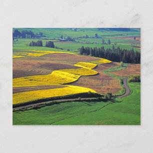 VS, Washington, Palouse, Whitman County 2 Briefkaart