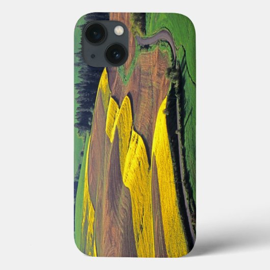 VS, Washington, Palouse, Whitman County 2 Case-Mate iPhone Case (Achterkant)