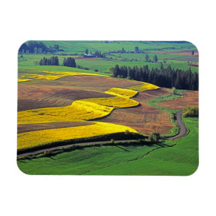 VS, Washington, Palouse, Whitman County 2 Magneet