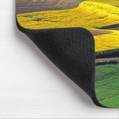 VS, Washington, Palouse, Whitman County 2 Muismat (Hoek)