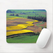 VS, Washington, Palouse, Whitman County 2 Muismat (Met muis)