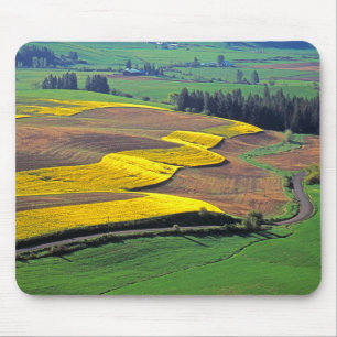 VS, Washington, Palouse, Whitman County 2 Muismat