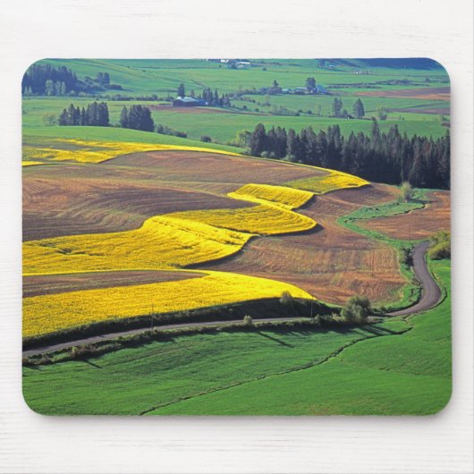 VS, Washington, Palouse, Whitman County 2 Muismat (Voorkant)