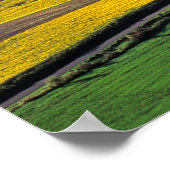 VS, Washington, Palouse, Whitman County 2 Poster (Hoek)