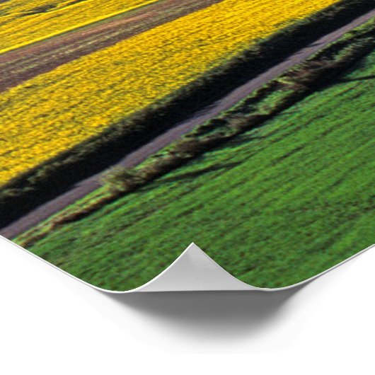 VS, Washington, Palouse, Whitman County 2 Poster (Hoek)