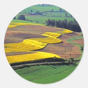 VS, Washington, Palouse, Whitman County 2 Ronde Sticker