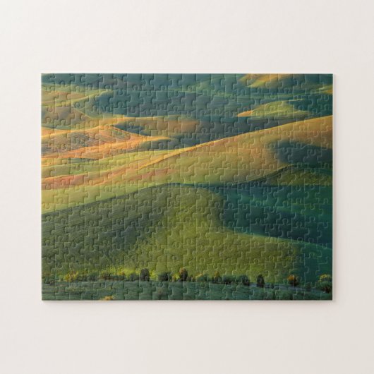 VS, Washington, Palouse, Whitman County Legpuzzel (Horizontaal)