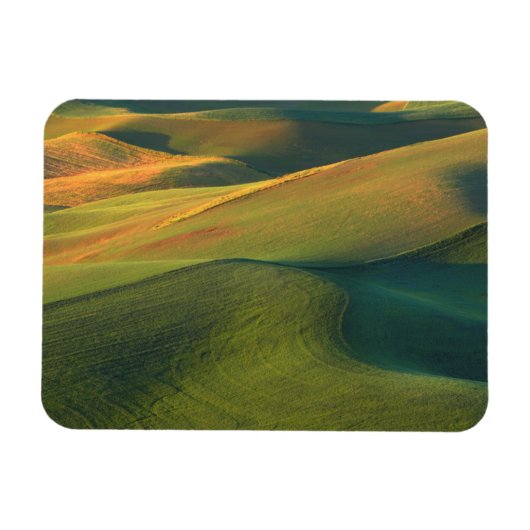 VS, Washington, Palouse, Whitman County Magneet (Horizontaal)