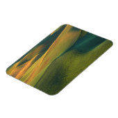 VS, Washington, Palouse, Whitman County Magneet (Linkerzijde)