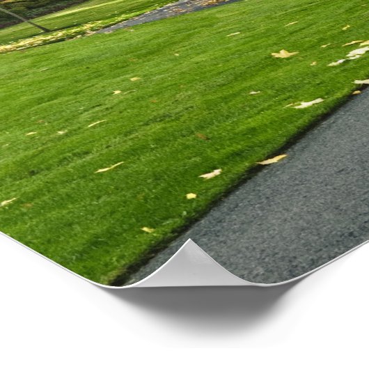 VS, Washington Poster (Hoek)