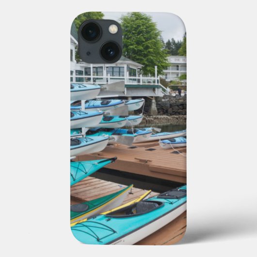 VS, Washington, San Juan Case-Mate iPhone Case (Achterkant)
