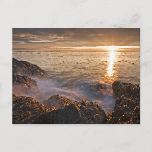 VS, Washington, San Juan-eilanden. Een dramatisch Briefkaart (Voorkant)