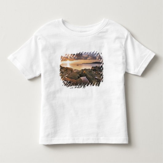 VS, Washington, San Juan-eilanden.  Een dramatisch Kinder Shirts (Voorkant)