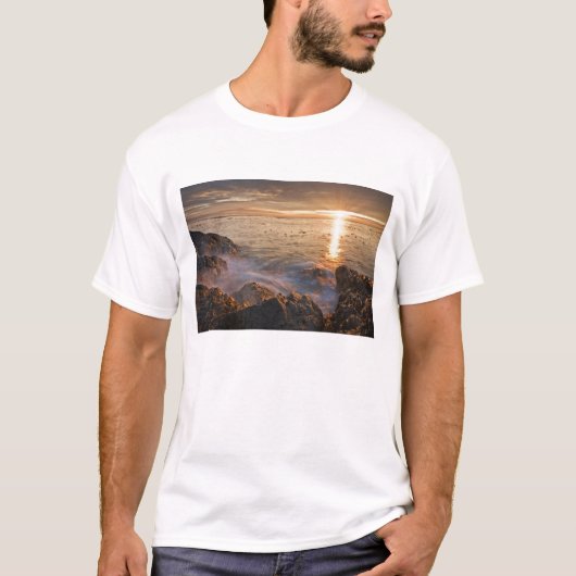 VS, Washington, San Juan-eilanden.  Een dramatisch T-shirt (Voorkant)