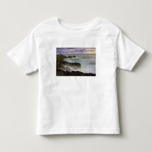 VS, Washington, San Juan-eilanden. Golven slaan Kinder Shirts