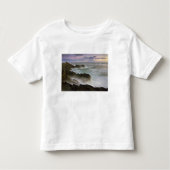 VS, Washington, San Juan-eilanden. Waves craves Kinder Shirts (Voorkant)