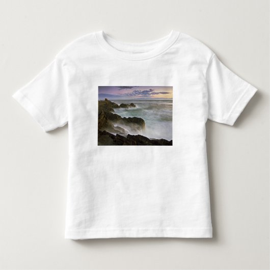 VS, Washington, San Juan-eilanden.  Waves craves Kinder Shirts (Voorkant)