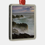 VS, Washington, San Juan-eilanden.  Waves craves Metalen Ornament (Rechts)