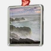 VS, Washington, San Juan-eilanden.  Waves craves Metalen Ornament (Links)