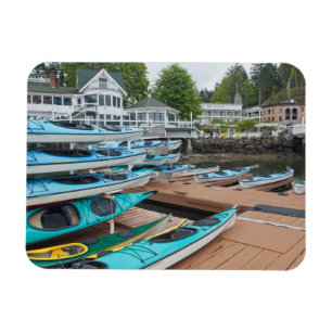 VS, Washington, San Juan Magneet