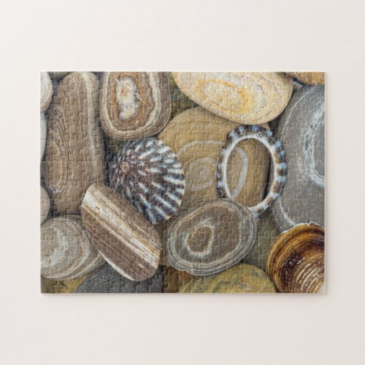 VS, Washington, Seabeck. Close-up van strand Legpuzzel (Horizontaal)
