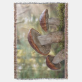 VS, Washington, Seabeck. Leccinum Insigne Deken (Voorkant Verticaal)