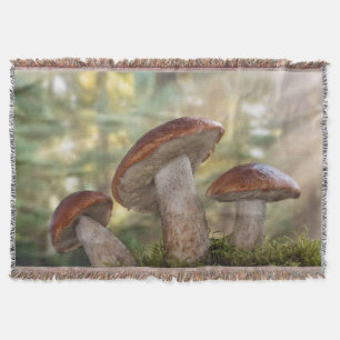 VS, Washington, Seabeck. Leccinum Insigne Deken
