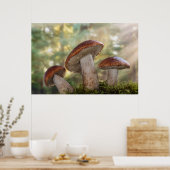 VS, Washington, Seabeck. Leccinum Insigne Poster (Keuken)