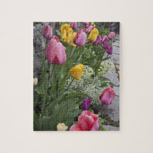 VS, Washington, Seabeck. Tulpen omzomen tuin Legpuzzel