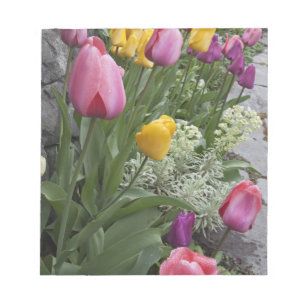 VS, Washington, Seabeck. Tulpen omzomen tuin Notitieblok