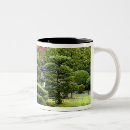 VS, Washington, Seattle, Arboretum, Japans Tweekleurige Koffiemok (Rechts)