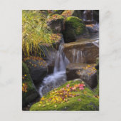 VS, Washington, Seattle Briefkaart (Voorkant)