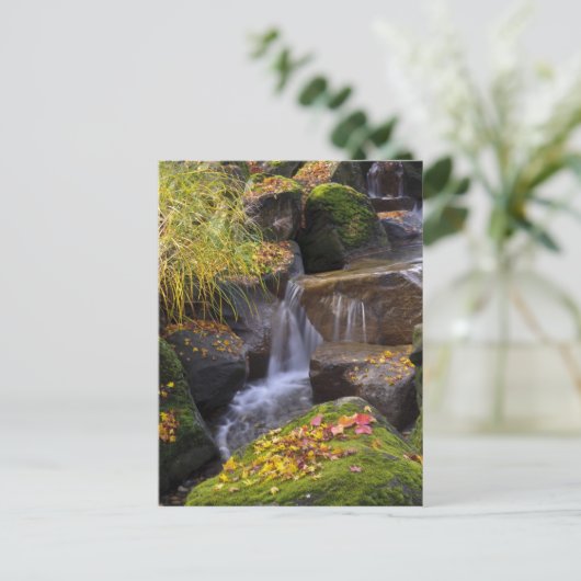 VS, Washington, Seattle Briefkaart (Staand voorkant)