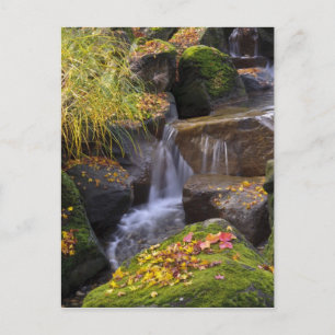 VS, Washington, Seattle Briefkaart