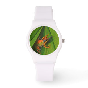 VS, Washington, Seattle, Discovery Park 2 Horloge