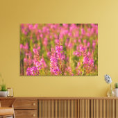 VS, Washington, Seattle, Discovery Park 3 Canvas Afdruk (Insitu (Woonkamer))