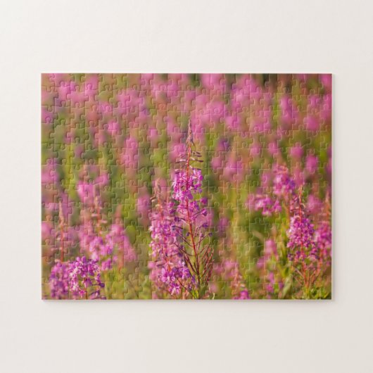 VS, Washington, Seattle, Discovery Park 3 Legpuzzel (Horizontaal)