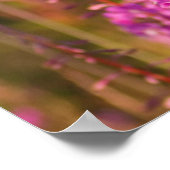 VS, Washington, Seattle, Discovery Park 3 Poster (Hoek)