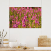 VS, Washington, Seattle, Discovery Park 3 Poster (Keuken)