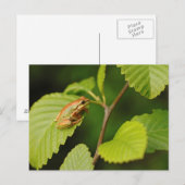 VS, Washington, Seattle, Discovery Park Briefkaart (Voorkant / Achterkant)