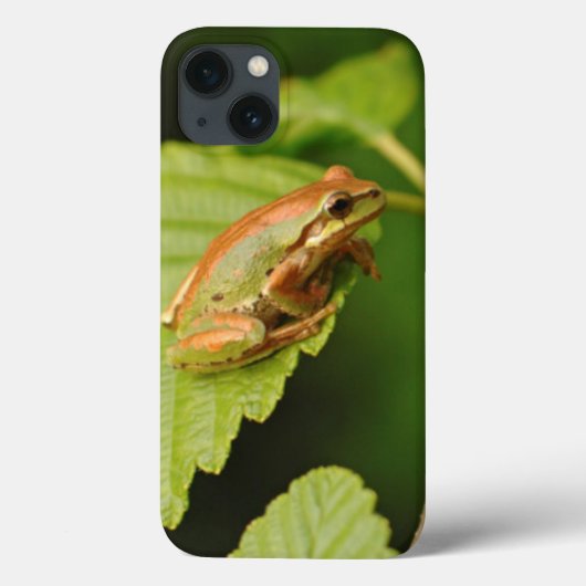 VS, Washington, Seattle, Discovery Park Case-Mate iPhone Case (Achterkant)