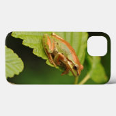 VS, Washington, Seattle, Discovery Park Case-Mate iPhone Case (Achterkant (horizontaal))