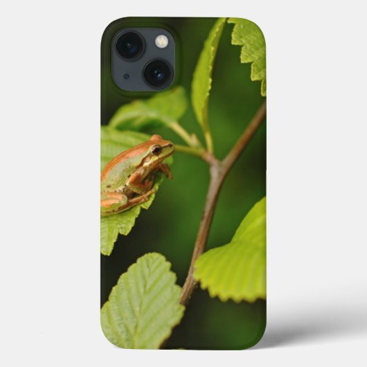 VS, Washington, Seattle, Discovery Park Case-Mate iPhone Case (Achterkant)