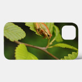 VS, Washington, Seattle, Discovery Park Case-Mate iPhone Case (Achterkant (horizontaal))