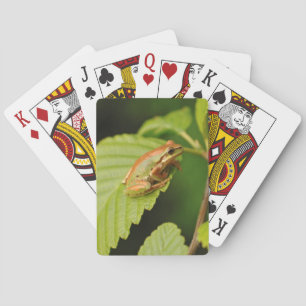 VS, Washington, Seattle, Discovery Park Pokerkaarten