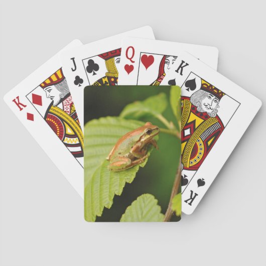 VS, Washington, Seattle, Discovery Park Pokerkaarten (Achterkant)