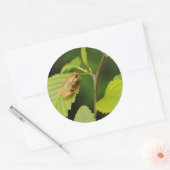 VS, Washington, Seattle, Discovery Park Ronde Sticker (Envelop)