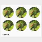 VS, Washington, Seattle, Discovery Park Ronde Sticker (Vel)