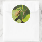 VS, Washington, Seattle, Discovery Park Ronde Sticker (Tas)